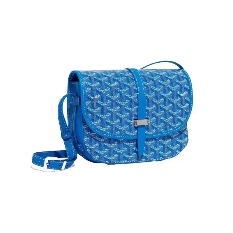 Goyard Saint Louis PM Crossbody Bags 8 · Goyard 1:1 rep bag from $20 · DHL from Guangzhou, China