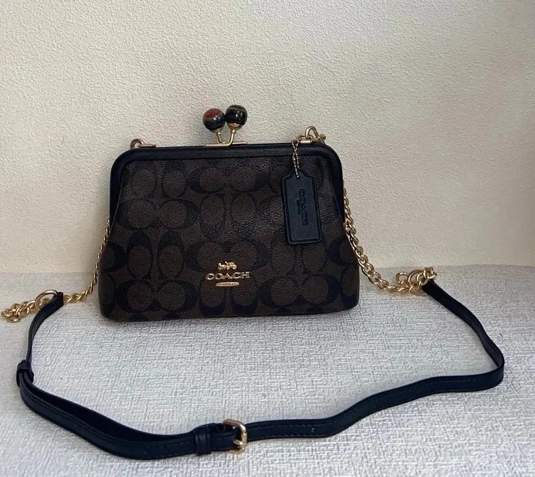 COACH MAYA Handbag 6